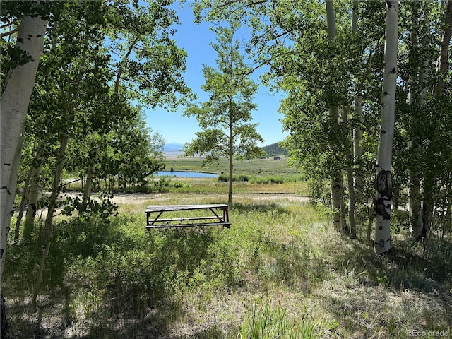 86 Lamb Mountain Rd, Fairplay, CO 80440 - photo 2