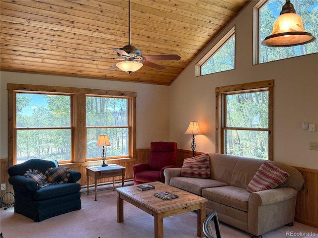 86 Lamb Mountain Rd, Fairplay, CO 80440 - photo 9