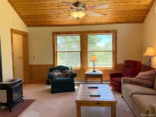 86 Lamb Mountain Rd, Fairplay, CO 80440 - photo 10