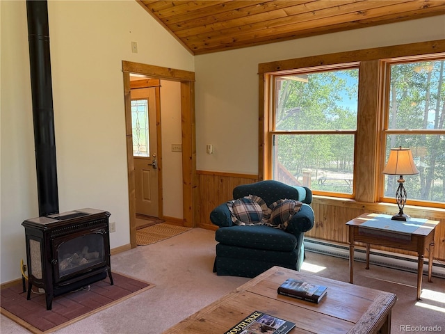 86 Lamb Mountain Rd, Fairplay, CO 80440 - photo 11