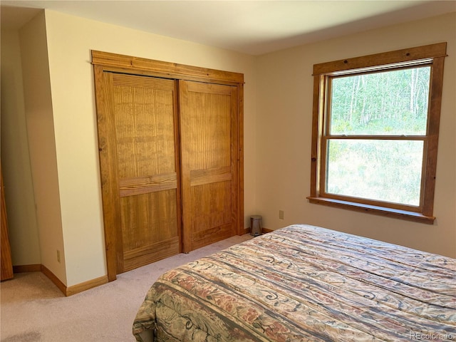 86 Lamb Mountain Rd, Fairplay, CO 80440 - photo 25