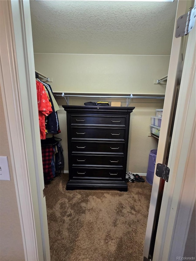 5131 Delphinium Cir, Brighton, CO 80601 - walk in closet with carpet floors