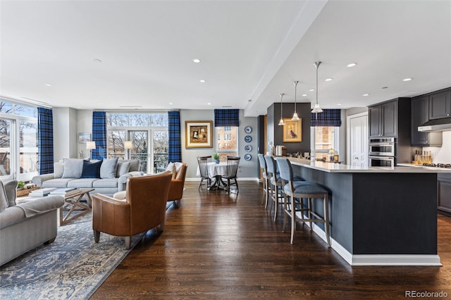 living room with dark hardwood / wood-style flooring