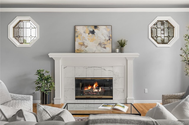 18963 E Long Ave, Centennial, CO 80016 - living area featuring wood finished floors and a premium fireplace