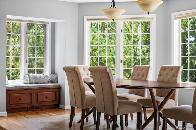 18963 E Long Ave, Centennial, CO 80016 - dining space featuring light wood-style floors and baseboards