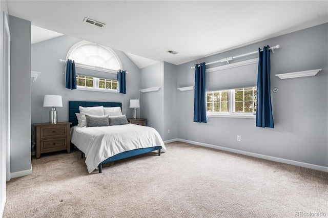 18963 E Long Ave, Centennial, CO 80016 - bedroom with carpet flooring and vaulted ceiling