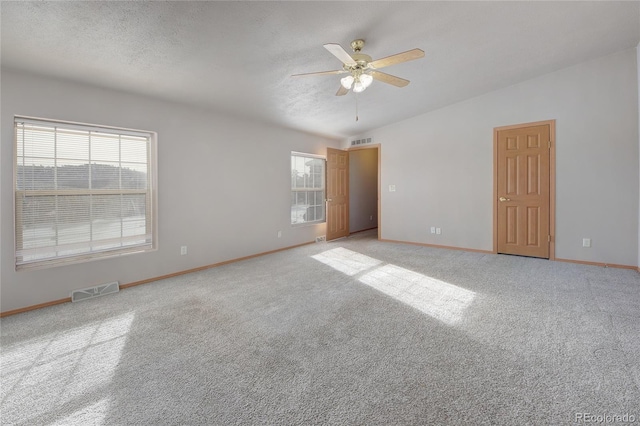 spare room with a textured ceiling, carpet floors, and a wealth of natural light