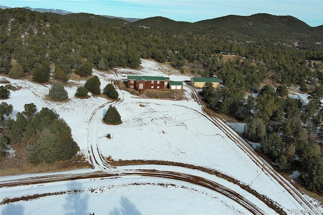 snowy aerial view featuring a mountain view