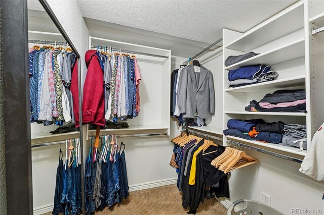 1438 N Franklin St Unit 100, Denver, CO 80218 - photo 17