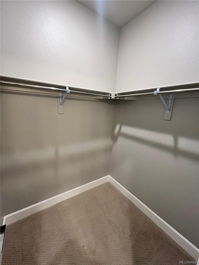 16841 Askins Loop Unit 208, Parker, CO 80134 - spacious closet with carpet