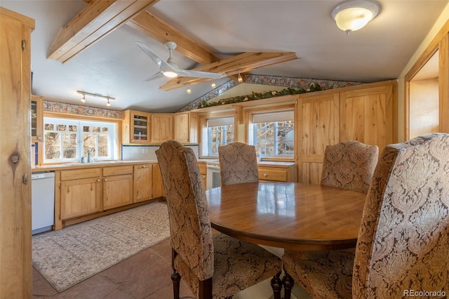 9185 US Highway 285, Salida, CO 81201 - dining area featuring healthy amount of natural light, a ceiling fan, and tile patterned floors