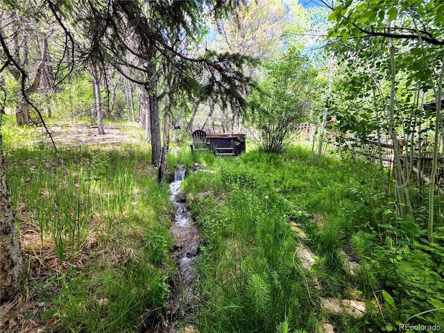 9185 US Highway 285, Salida, CO 81201 - view of yard