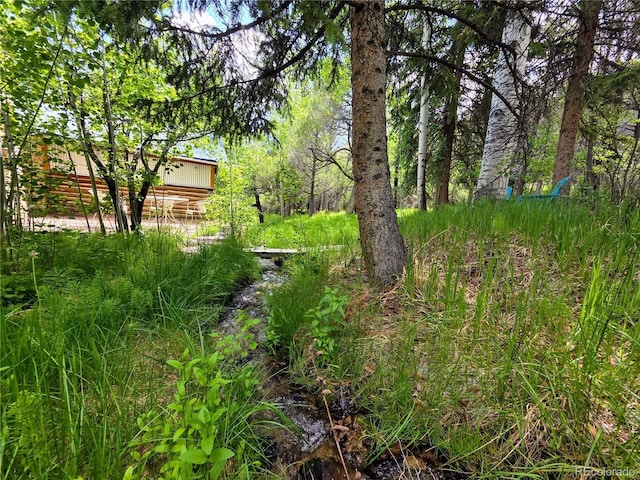 9185 US Highway 285, Salida, CO 81201 - view of yard