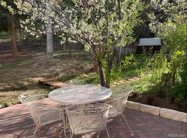 9185 US Highway 285, Salida, CO 81201 - view of patio featuring outdoor dining space