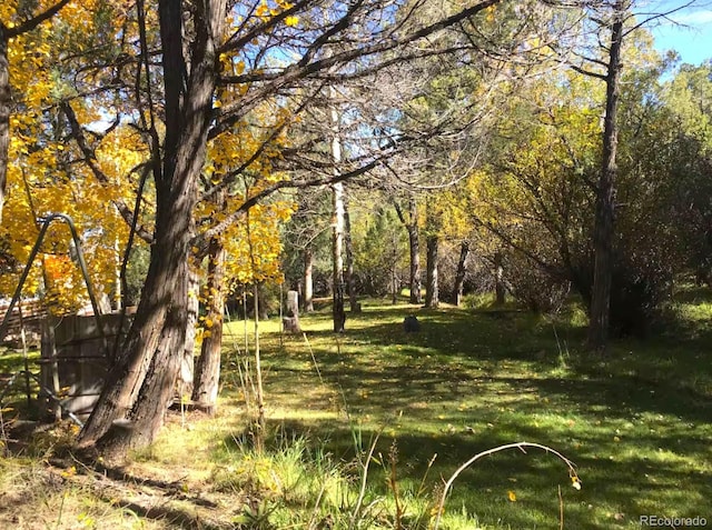 9185 US Highway 285, Salida, CO 81201 - view of green lawn