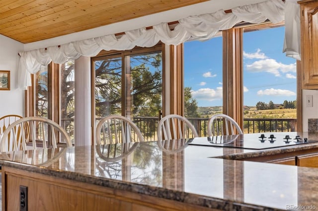 9980 Heather Dr, Castle Rock, CO 80108 - photo 5