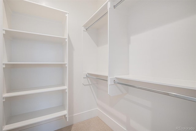 view of walk in closet