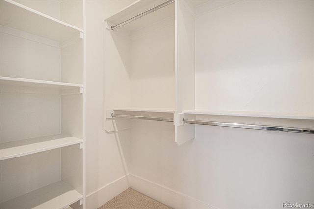 view of walk in closet