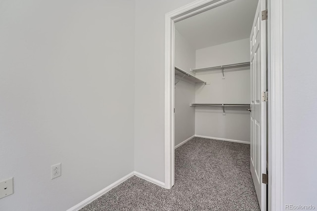 2705 S Danube Way Unit 110, Aurora, CO 80013 - spacious closet with carpet floors