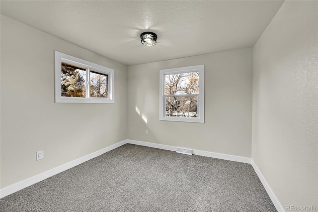 carpeted empty room featuring a textured ceiling and a wealth of natural light