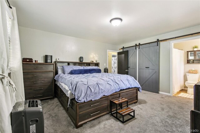 466 Gunsmoke Dr, Bailey, CO 80421 - photo 10