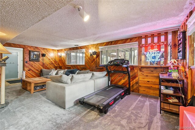 466 Gunsmoke Dr, Bailey, CO 80421 - photo 18