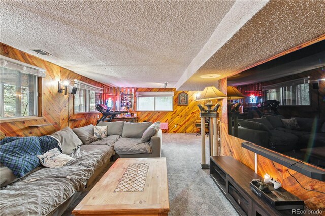 466 Gunsmoke Dr, Bailey, CO 80421 - photo 19