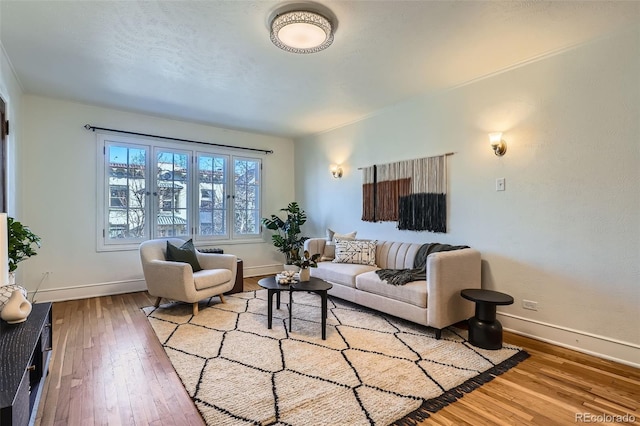 living room with wood-type flooring