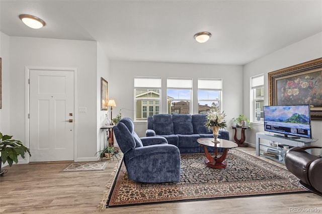 living room featuring hardwood / wood-style flooring