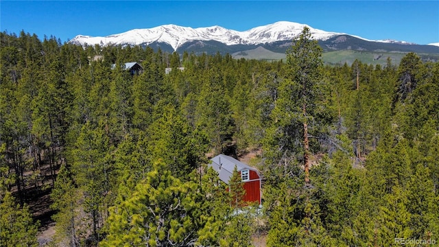 852 Birch Dr, Twin Lakes CO, 81251 land for sale