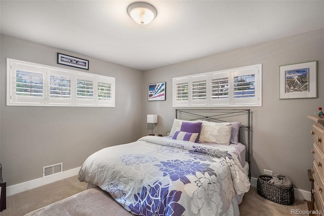 3137 S Vine Ct, Englewood, CO 80113 - photo 20
