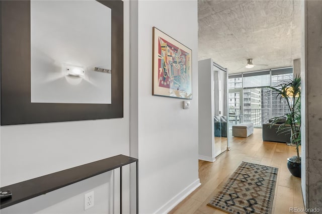 corridor featuring light hardwood / wood-style flooring and a wall of windows