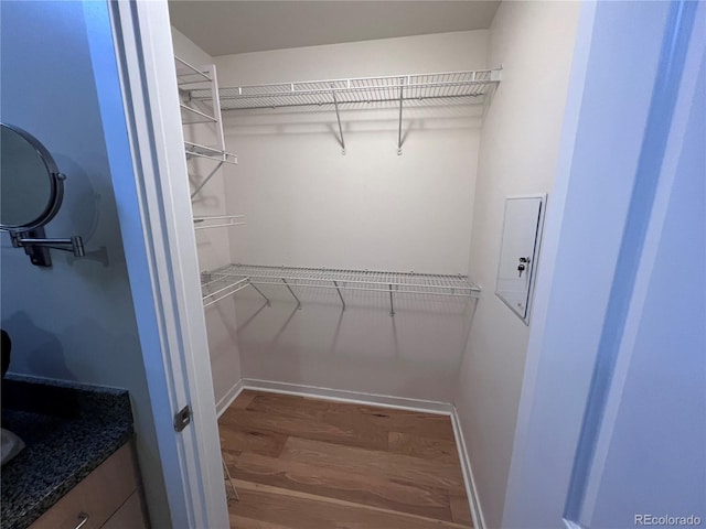 walk in closet with wood-type flooring