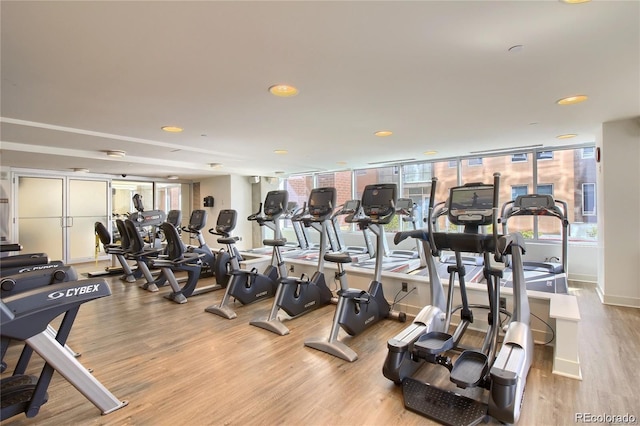 exercise room with light hardwood / wood-style flooring