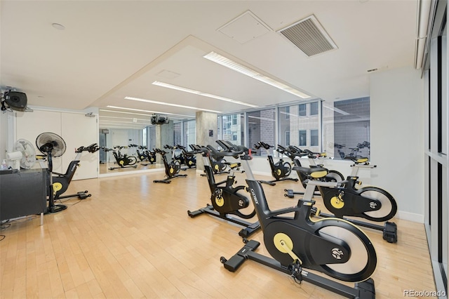 workout area with light hardwood / wood-style floors and expansive windows