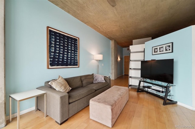 living room with light wood-type flooring