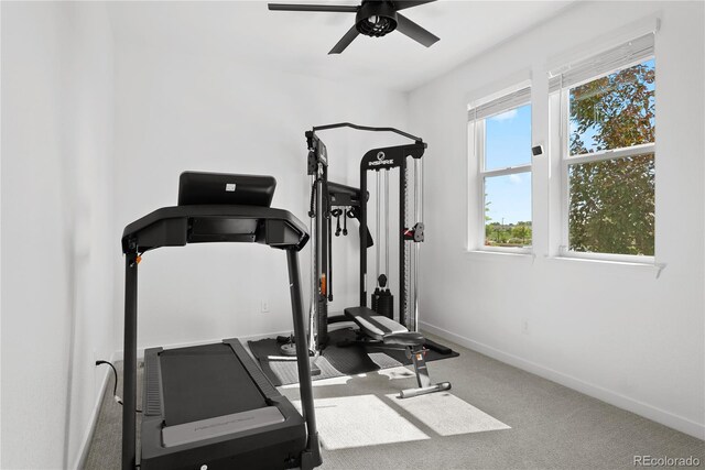 12261 Farmview St, Thornton, CO 80241 - workout area featuring a ceiling fan, baseboards, and carpet flooring