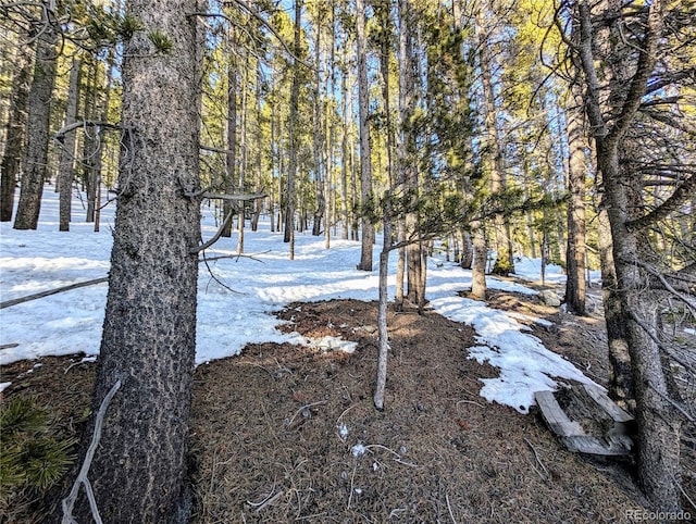 Listing photo 2 for LOT677 Alice Rd, Idaho Springs CO 80453