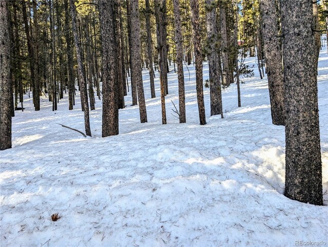 LOT677 Alice Rd, Idaho Springs, CO 80453
