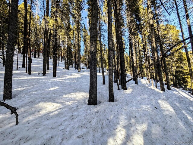 LOT677 Alice Rd, Idaho Springs, CO 80453