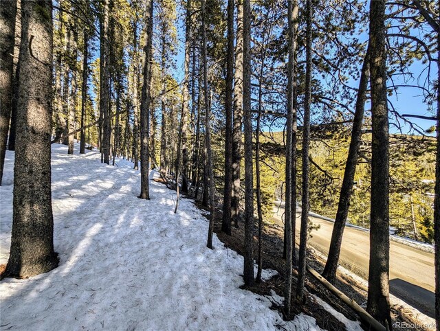 LOT677 Alice Rd, Idaho Springs, CO 80453