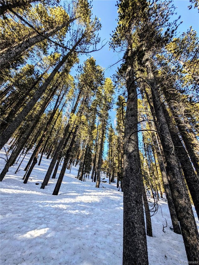 LOT677 Alice Rd, Idaho Springs, CO 80453