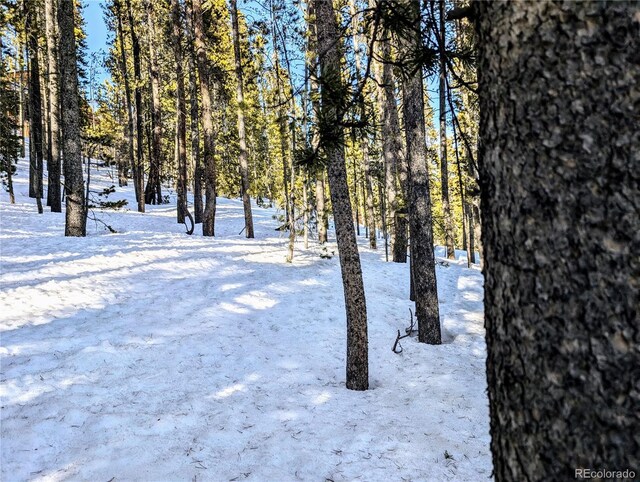 LOT677 Alice Rd, Idaho Springs, CO 80453