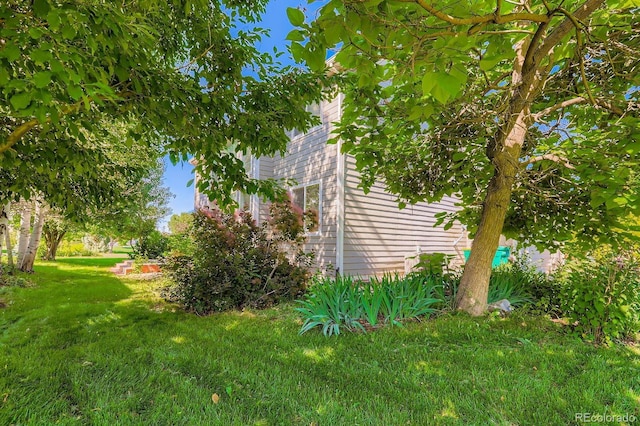 11729 Elmer Linn Dr, Longmont, CO 80504 - view of grassy yard