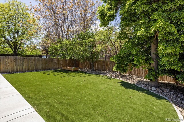 420 N Colorado Blvd, Denver, CO 80206 - view of yard