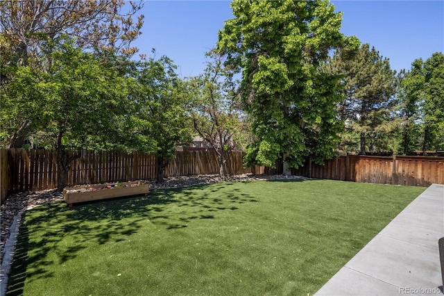 420 N Colorado Blvd, Denver, CO 80206 - view of yard