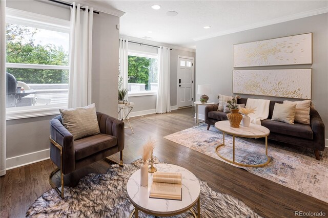 420 N Colorado Blvd, Denver, CO 80206 - living room with crown molding, baseboards, wood finished floors, and recessed lighting