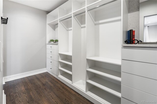 420 N Colorado Blvd, Denver, CO 80206 - walk in closet with dark wood finished floors