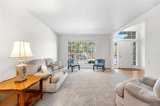 3102 White Oak Trl, Highlands Ranch, CO 80129 - carpeted living room featuring baseboards