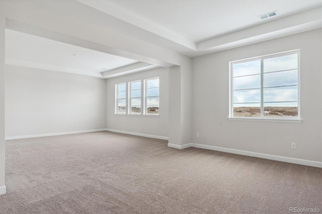 empty room with a tray ceiling and carpet